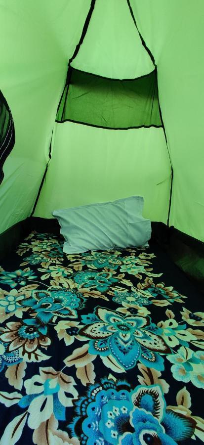 12 Monks Backpackers Community Hostel Πουσκάρ Δωμάτιο φωτογραφία